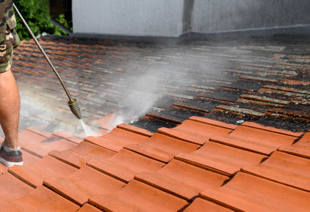 Best Garage Pressure Washing  in Shelbina, MO