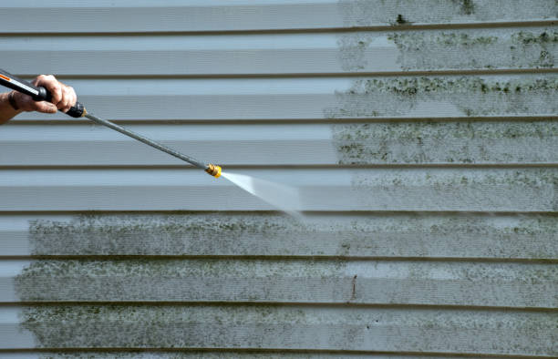 Best Affordable Power Washing  in Shelbina, MO