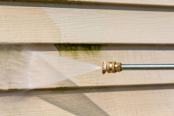 Best Power Washing Near Me  in Shelbina, MO