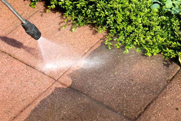 Best Concrete Pressure Washing  in Shelbina, MO